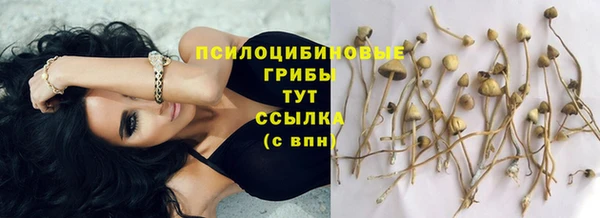 дмт Новокубанск