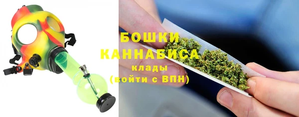 дмт Новокубанск