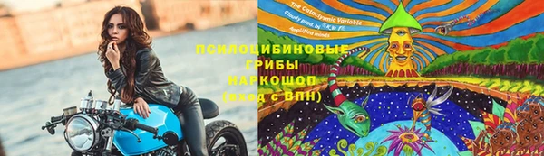 ALPHA PVP Новодвинск