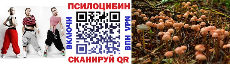 Галлюциногенные грибы Cubensis  купить закладку  Сычёвка 