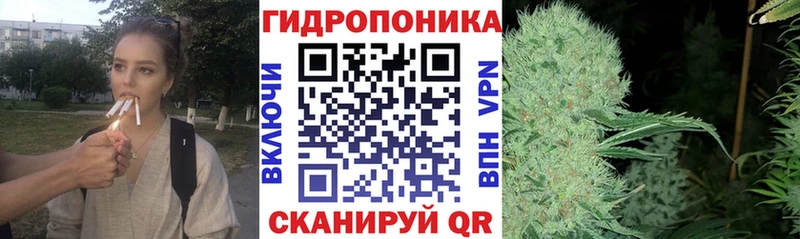 Конопля гибрид мега ССЫЛКА Сычёвка